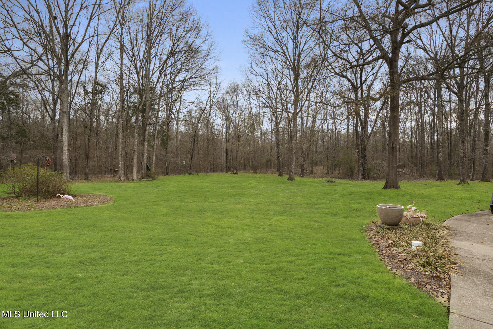 4 Greenhead Lane Raymond, MS 39154 - Photo 45 of 57 4 greenhead green grass-8