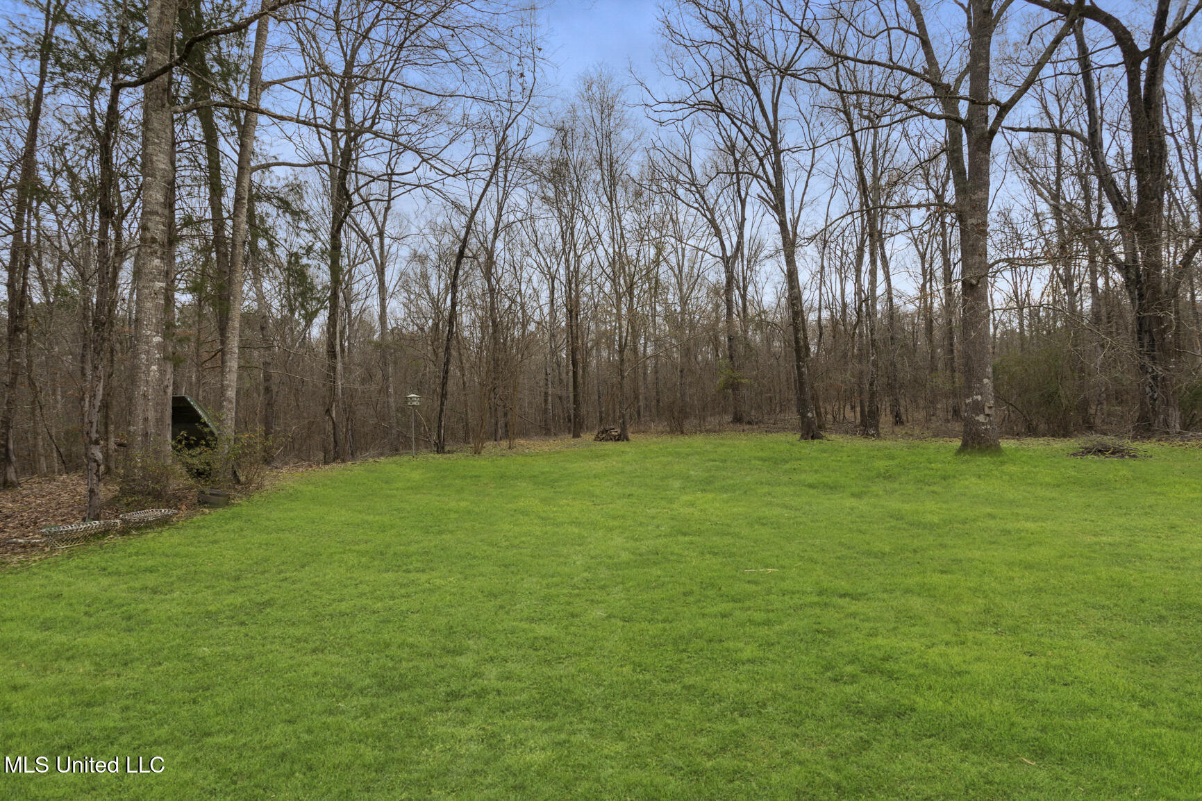 4 Greenhead Lane Raymond, MS 39154 - Photo 46 of 57 4 greenhead green grass-9