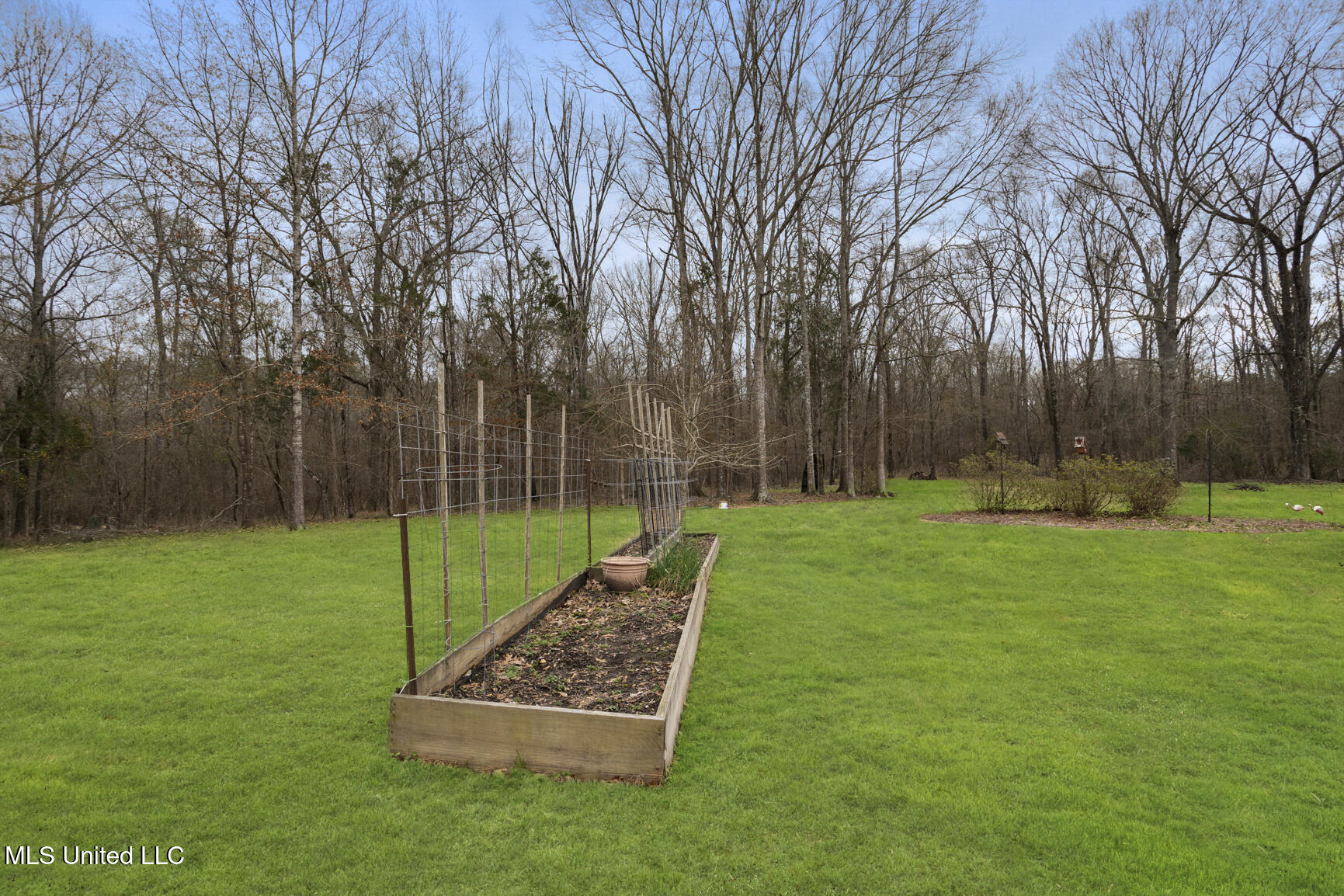 4 Greenhead Lane Raymond, MS 39154 - Photo 49 of 57 4 greenhead green grass-12