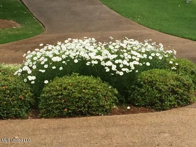 4 Greenhead Lane Raymond, MS 39154 - Photo 55 of 57 tempImageqOfyTJ