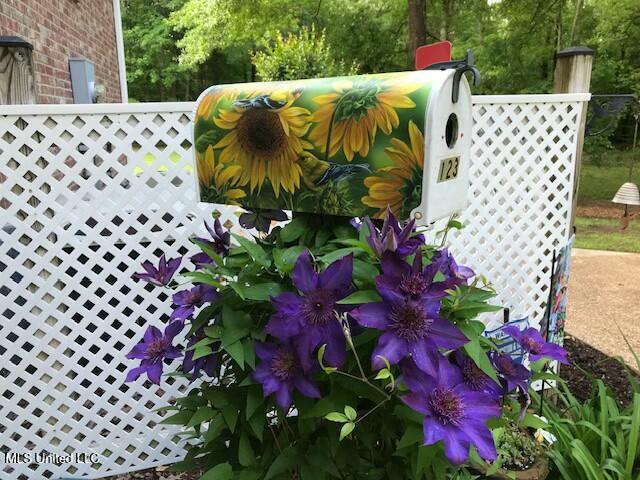 4 Greenhead Lane Raymond, MS 39154 - Photo 56 of 57 tempImagefY7Esj