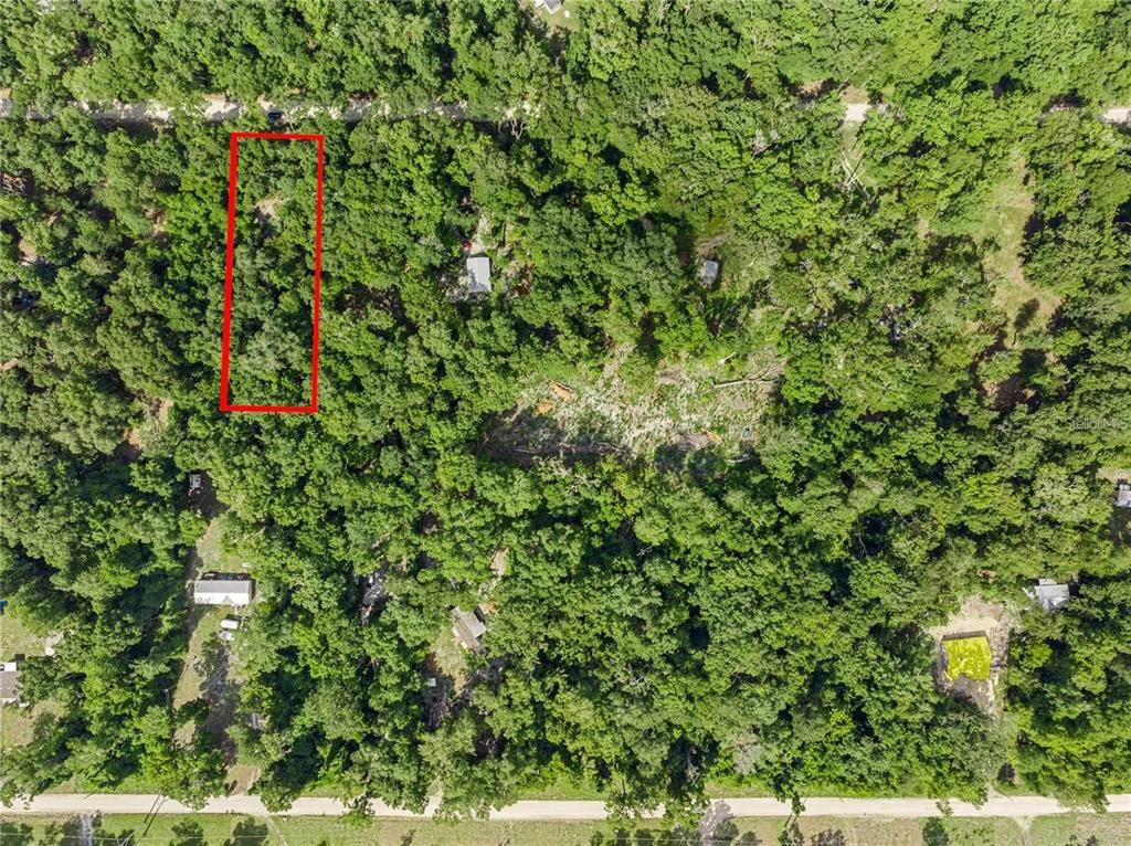 44 Boston Terrace Fort White, FL 32038 - Photo 1 of 1 a view of a lush green forest