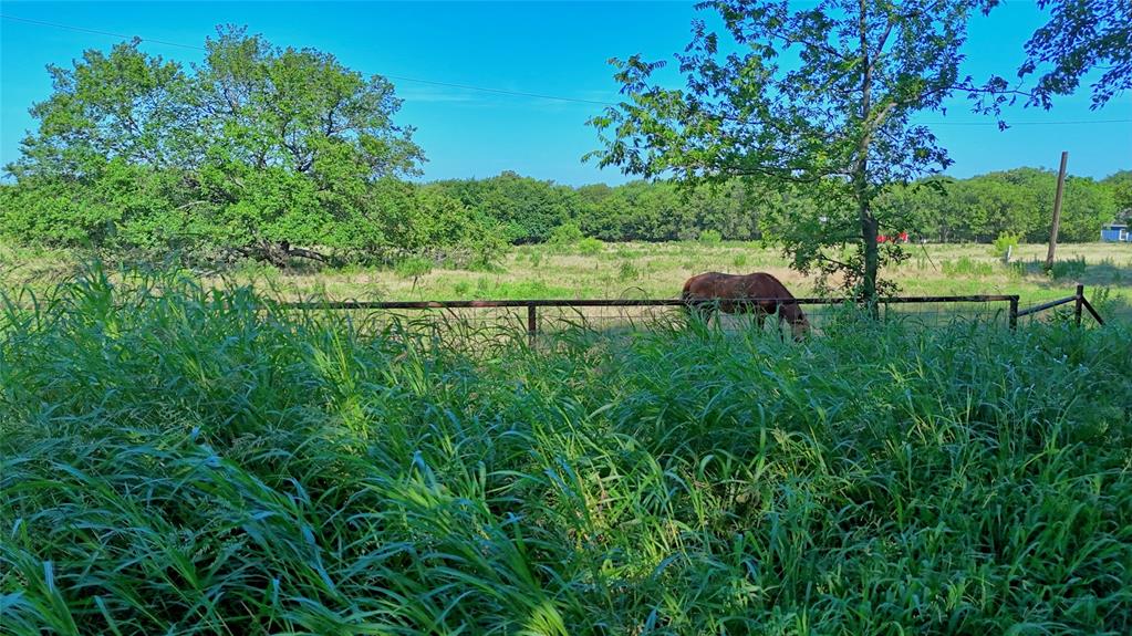 Tbd Fleming Street St. Jo, TX 76265 - Photo 2 of 7 a view of a backyard