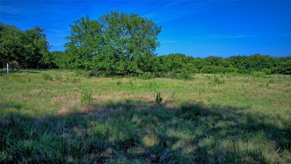 Tbd Fleming Street St. Jo, TX 76265 - Photo 3 of 7 a view of a lush green space