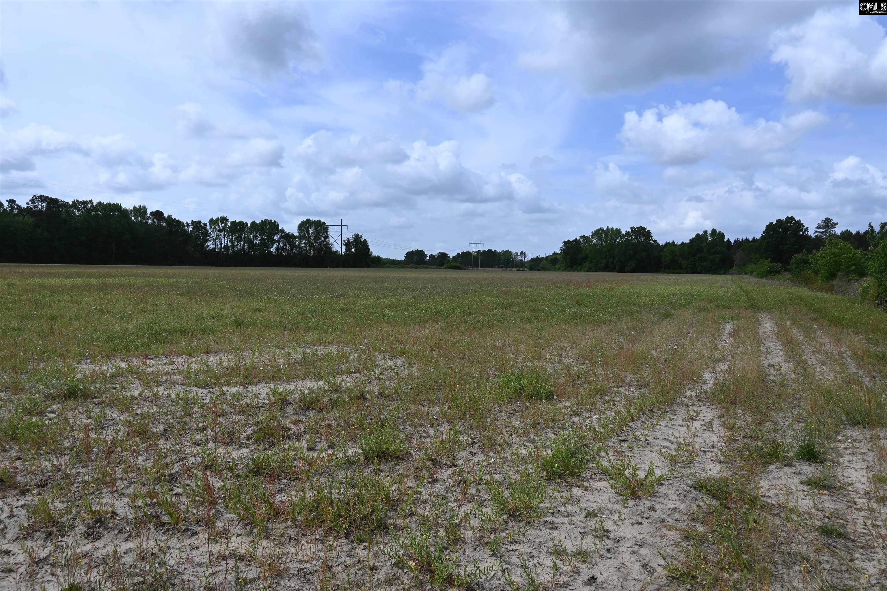Tbd Gallowaytown Road Hartsville, SC 29550 - Photo 28 of 34