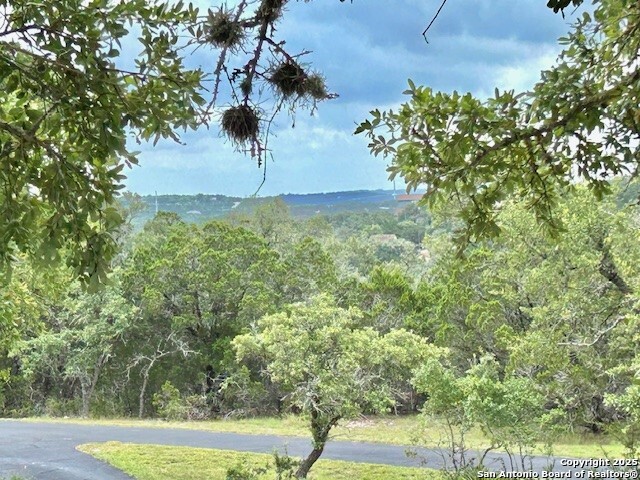 935 Spring Branch Road Spring Branch, TX 78070 - Photo 34 of 48 a view of a yard