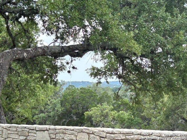 935 Spring Branch Road Spring Branch, TX 78070 - Photo 35 of 48 a view of a yard