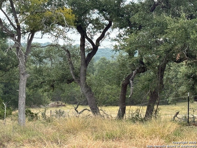 935 Spring Branch Road Spring Branch, TX 78070 - Photo 39 of 48 a view of a yard with a tree