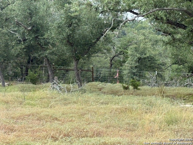 935 Spring Branch Road Spring Branch, TX 78070 - Photo 40 of 48 a view of small yard