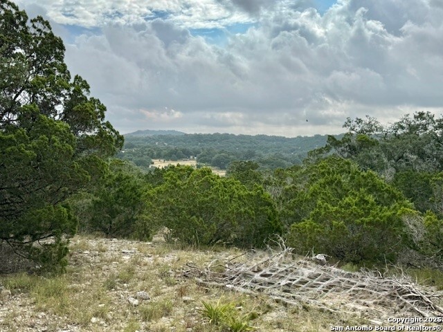 935 Spring Branch Road Spring Branch, TX 78070 - Photo 41 of 48 a view of a large yard with lots of green space