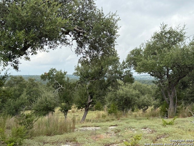 935 Spring Branch Road Spring Branch, TX 78070 - Photo 42 of 48 a view of a lake view
