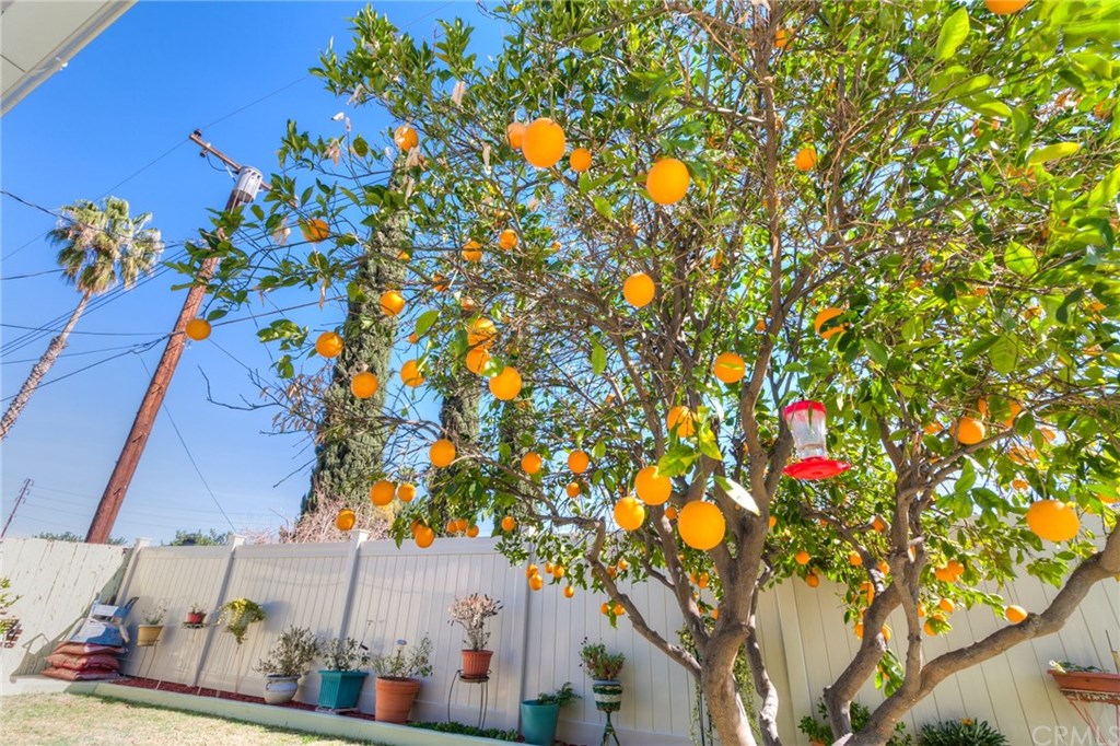 6250 Hillside Avenue Riverside, CA 92504 - Photo 30 of 32