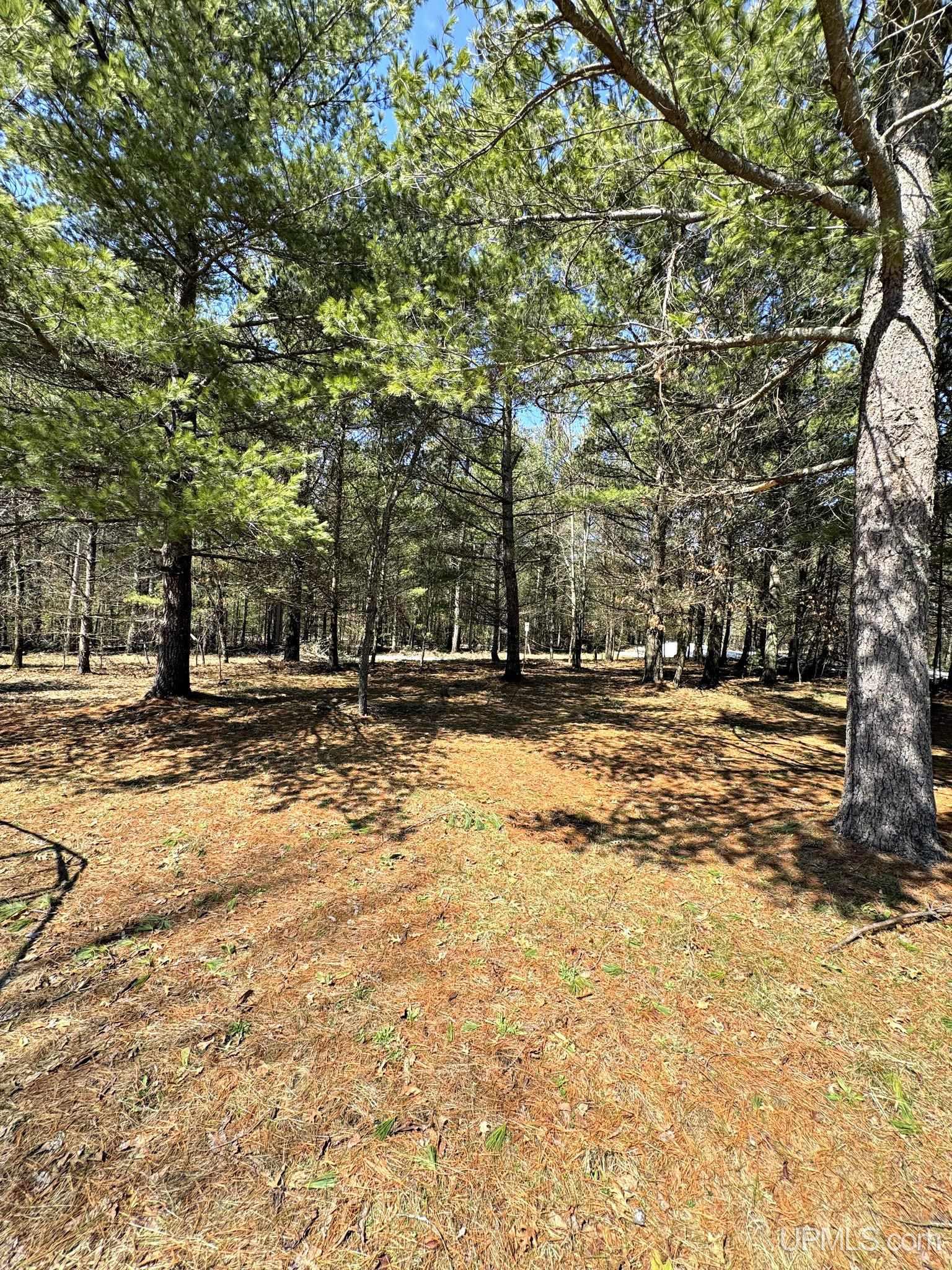 N16923 Peterson Road Pembine, WI 54156 - Photo 24 of 29 Gallery Image 24