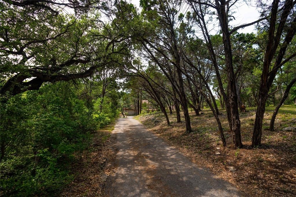 502 Grace Lane Austin, TX 78746 - Photo 24 of 37 a view of some trees in a yard