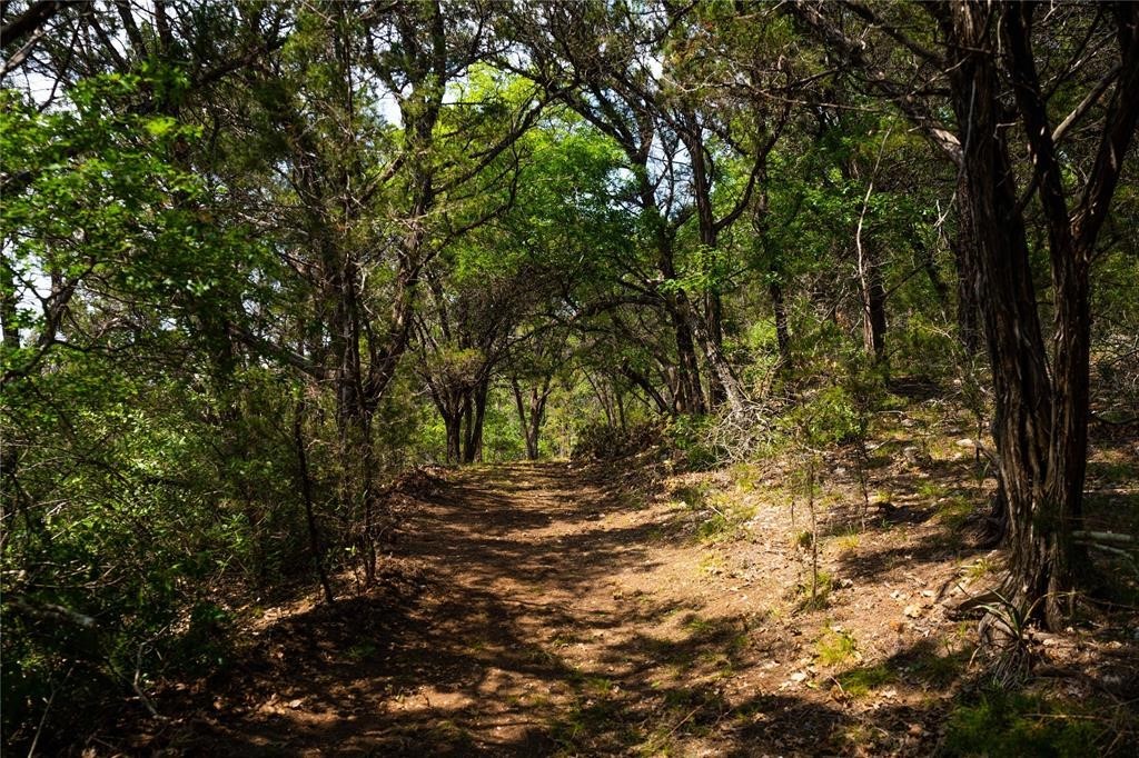 502 Grace Lane Austin, TX 78746 - Photo 26 of 37 a view of outdoor space and trees