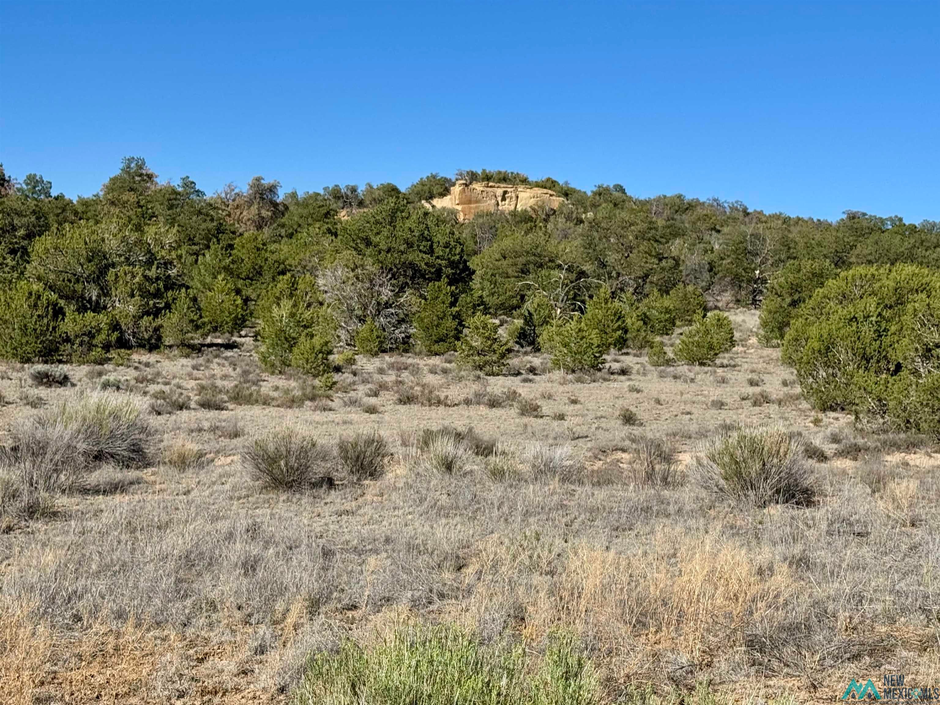 Five Five Gate Road Pinehill, NM 87357 - Photo 1 of 9 Gallery Image 1