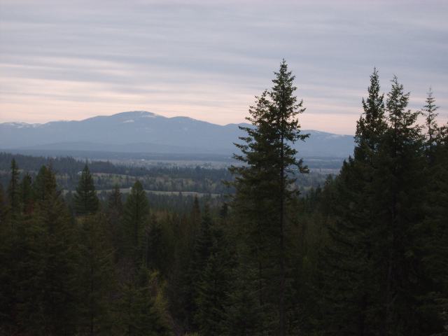 4305 K Grote Road Clayton, WA 99110 - Photo 4 of 9 Gallery Image 4