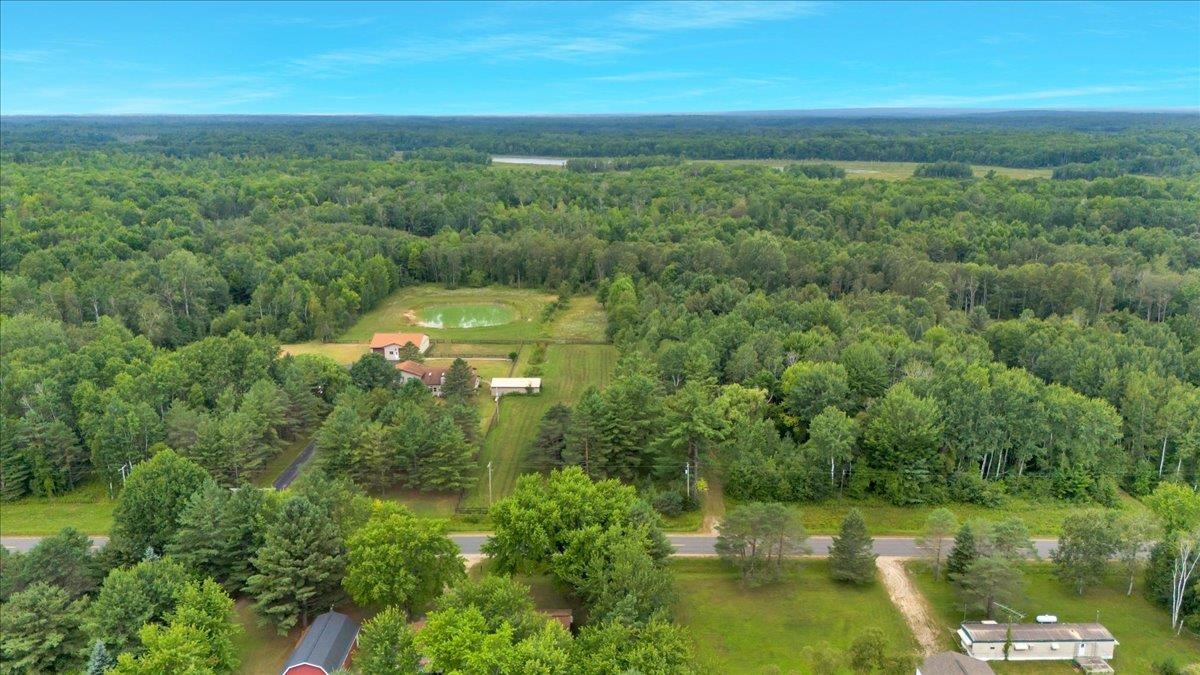 1369 East County Line Road Hale, MI 48739 - Photo 16 of 92