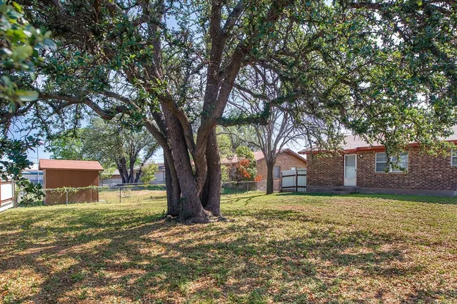 a tree in front of a white house