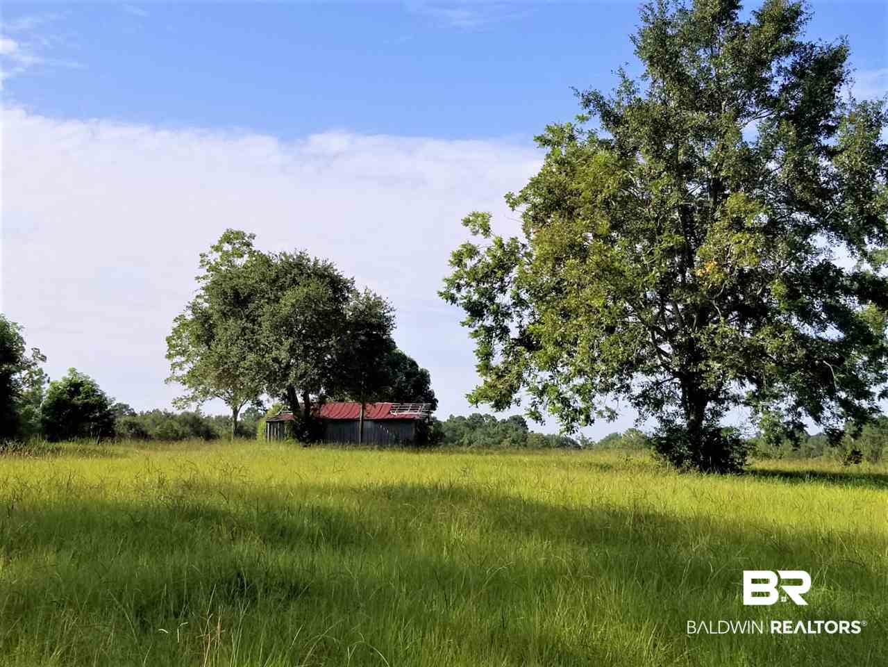 14760 County Road 64 Loxley, AL 36551 - Photo 3 of 19