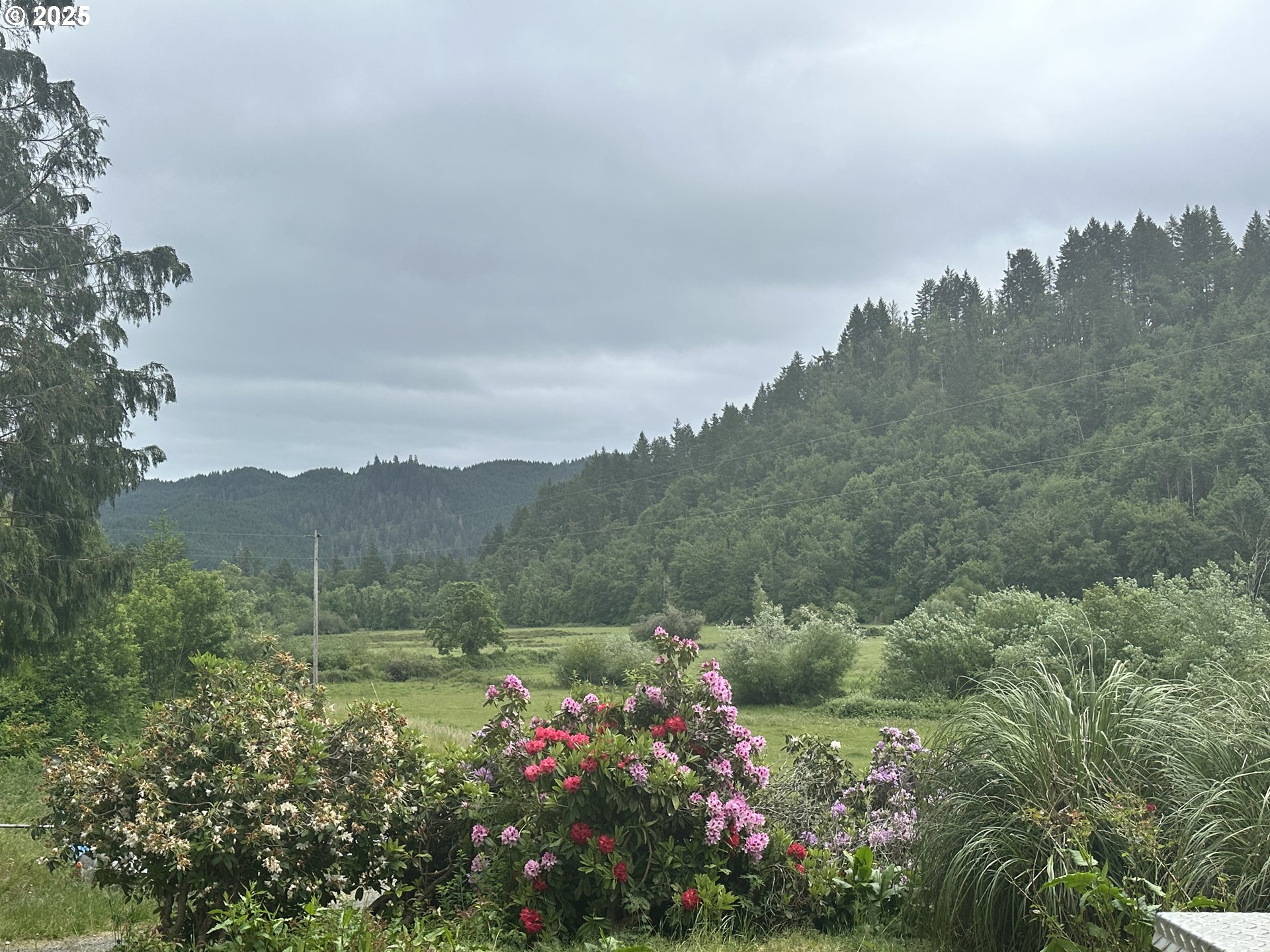 19395 Rust Road Blachly, OR 97412 - Photo 3 of 9