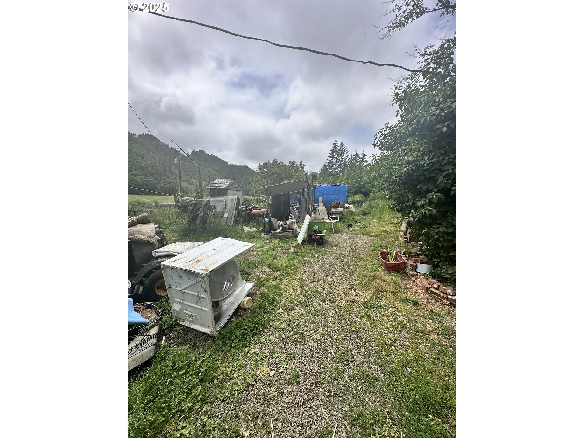 19395 Rust Road Blachly, OR 97412 - Photo 5 of 9