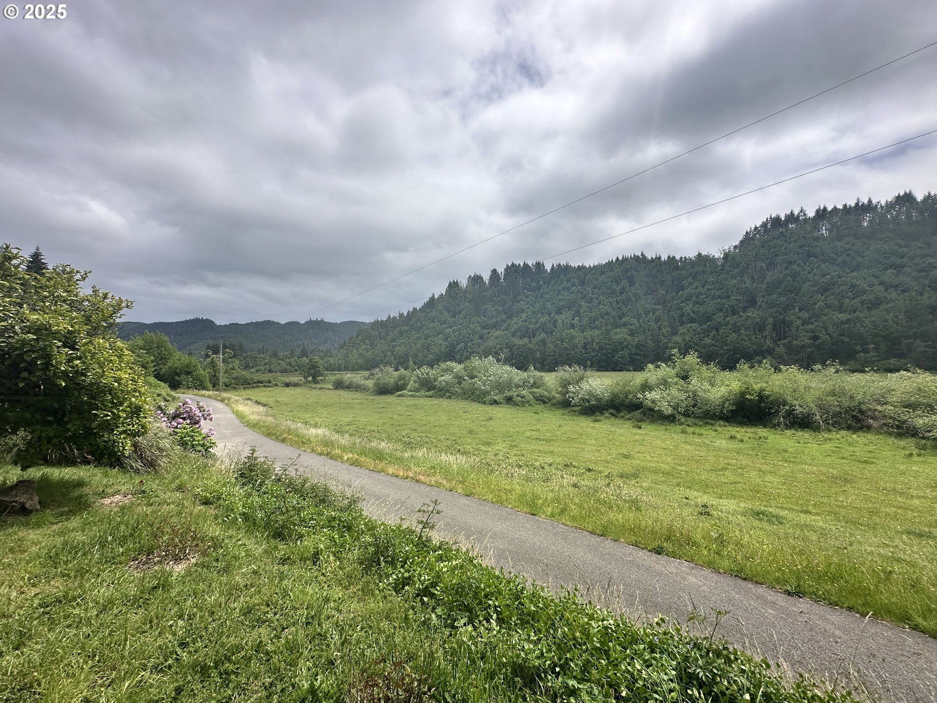 19395 Rust Road Blachly, OR 97412 - Photo 8 of 9