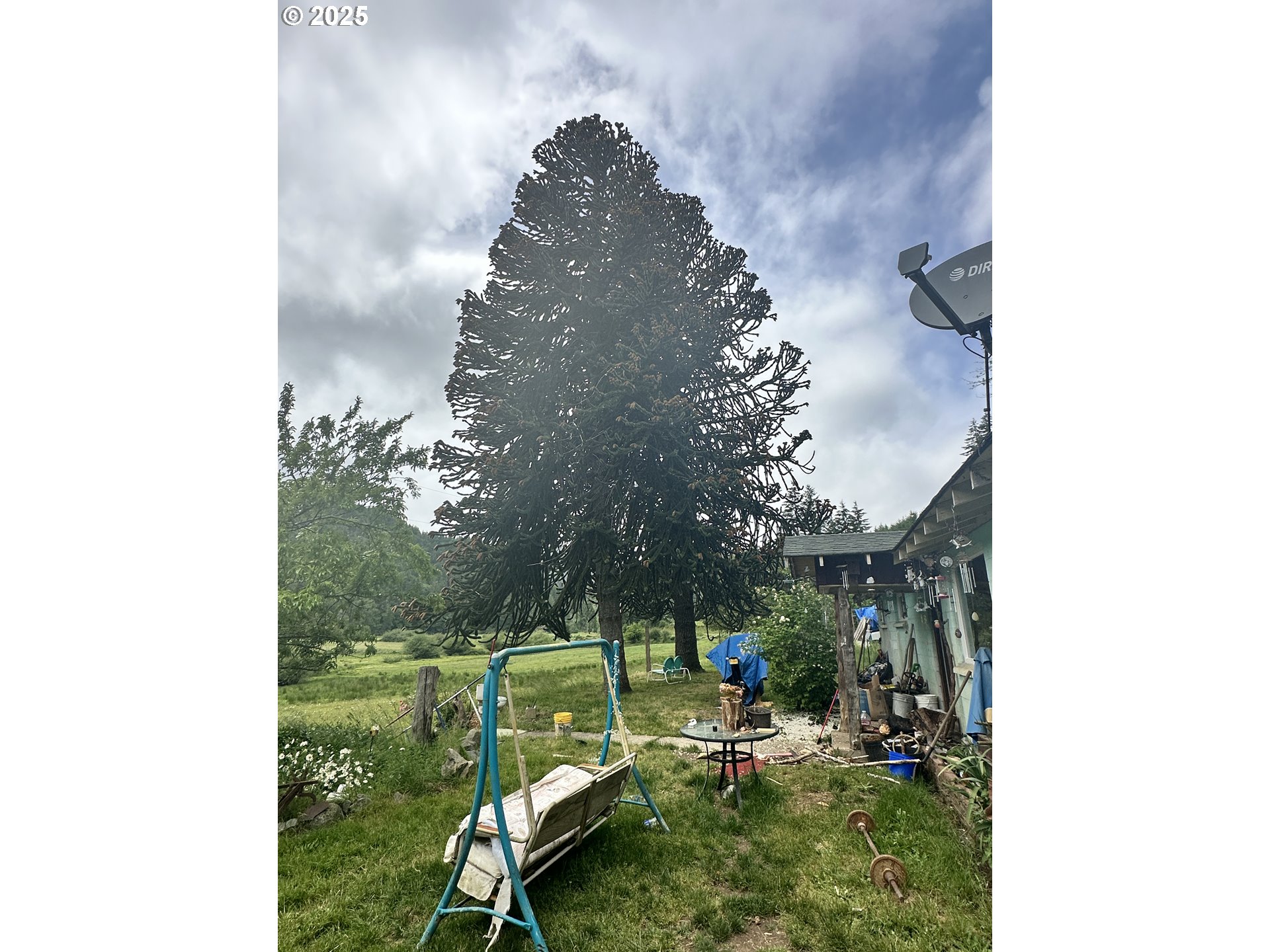 19395 Rust Road Blachly, OR 97412 - Photo 9 of 9