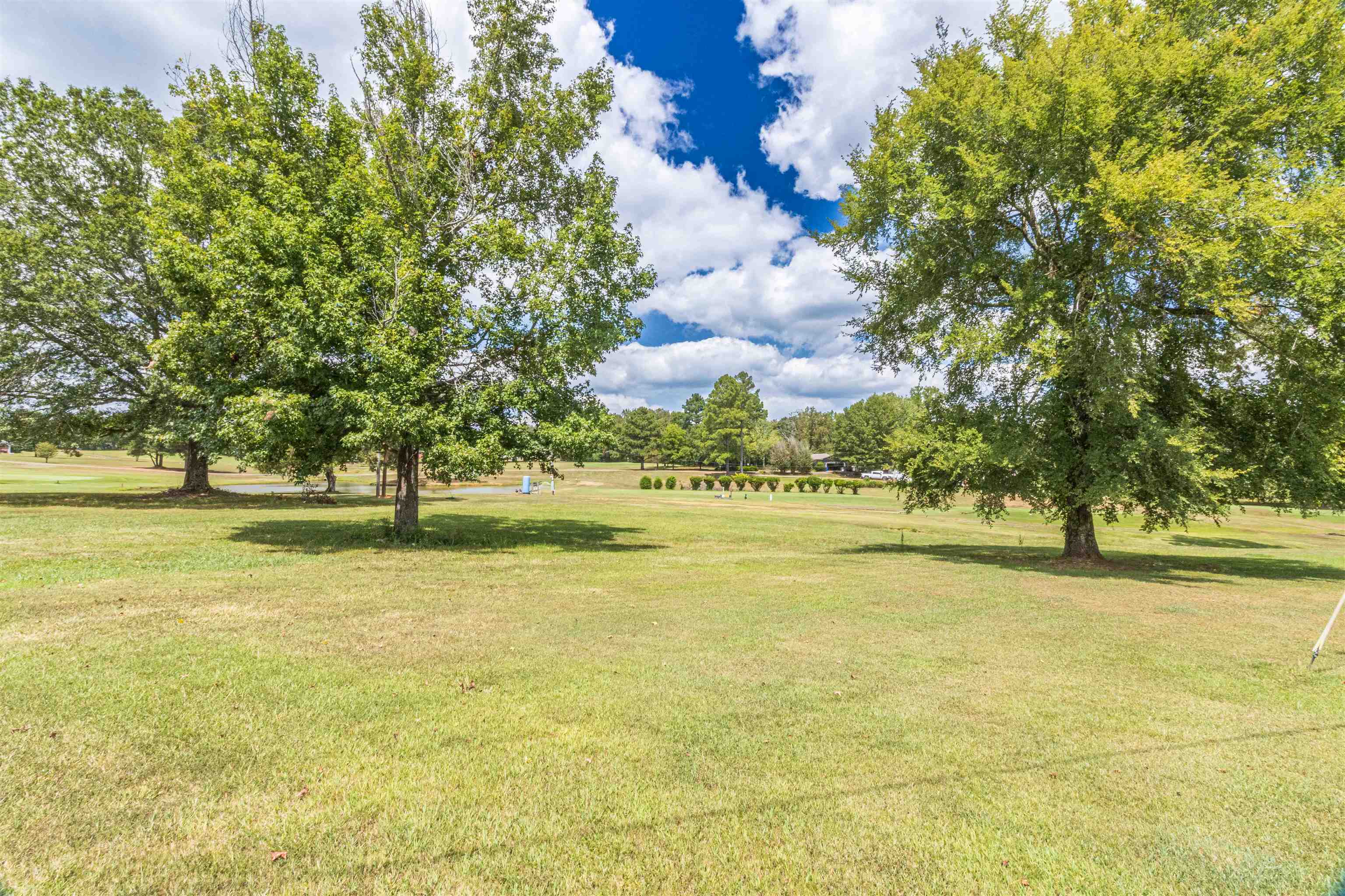 0 Grandview Circle Adamsville, TN 38310 - Photo 4 of 8 a view of an ocean view