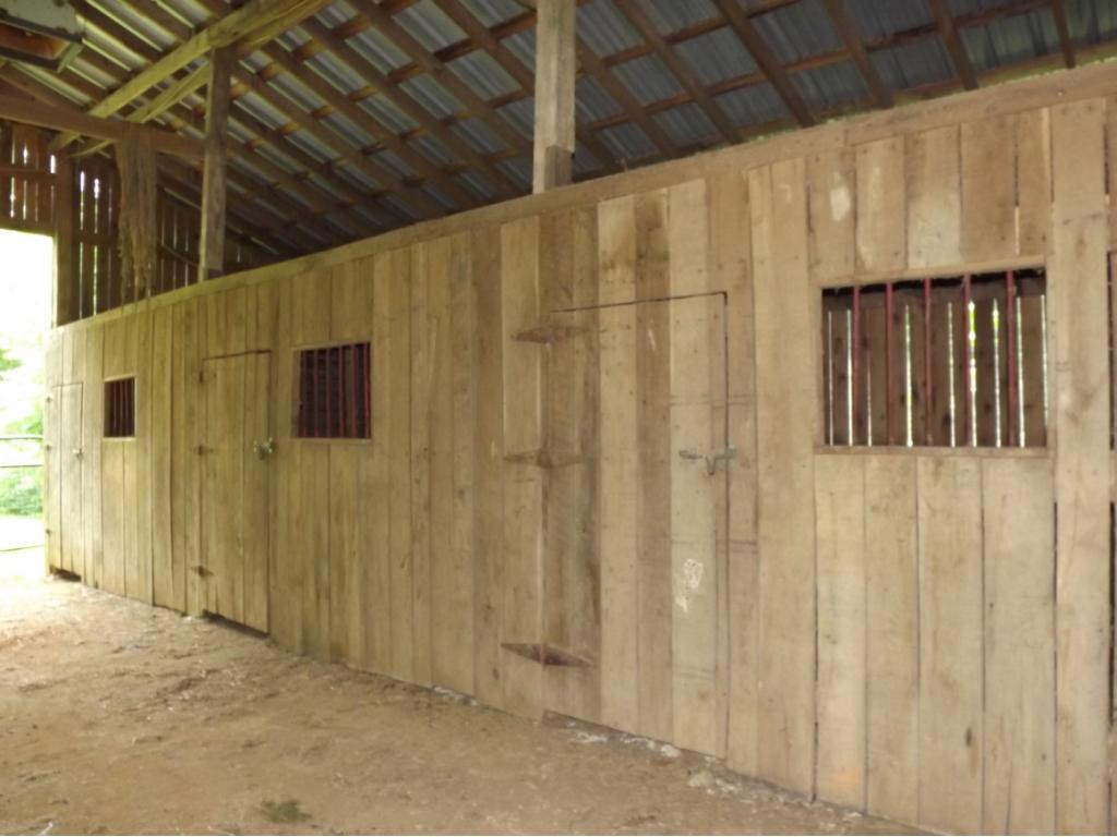 1195 Ryan Road Fall Branch, TN 37656 - Photo 17 of 32 More Stalls