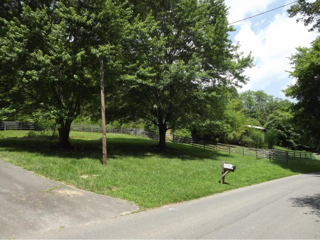 1195 Ryan Road Fall Branch, TN 37656 - Photo 4 of 32 Driveway and Ryan Road