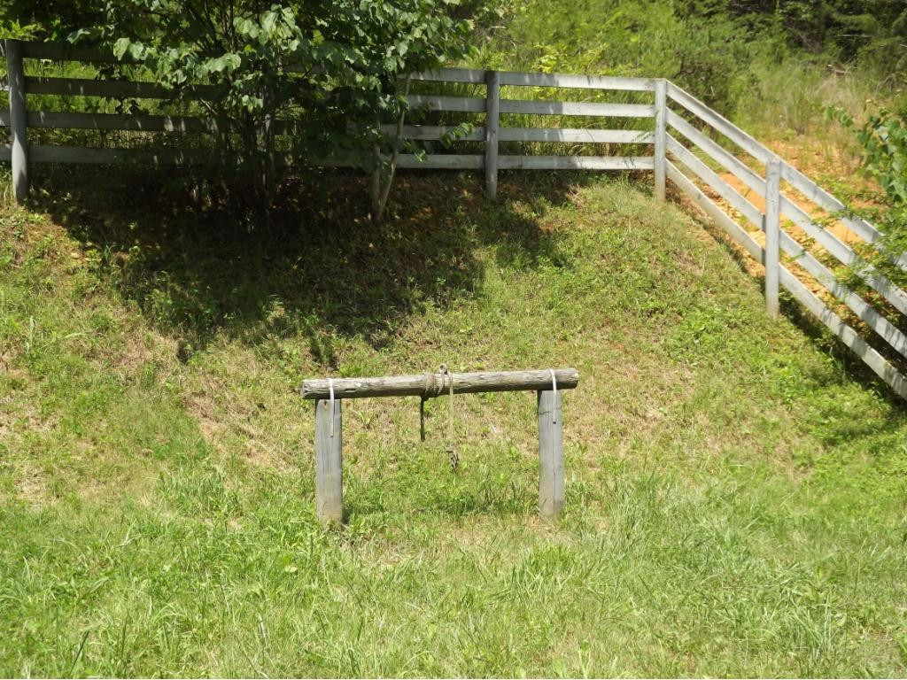 1195 Ryan Road Fall Branch, TN 37656 - Photo 8 of 32 Fenced Tie Down Area