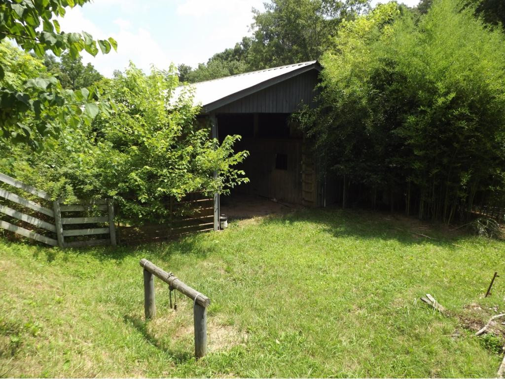 1195 Ryan Road Fall Branch, TN 37656 - Photo 9 of 32 Entrance to Horse Barn