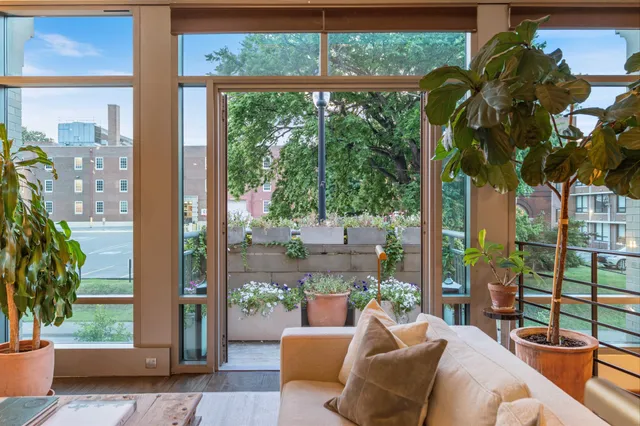 a pathway of a house with potted plants and a pathway