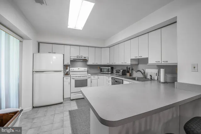 a view of a two chairs in the garden