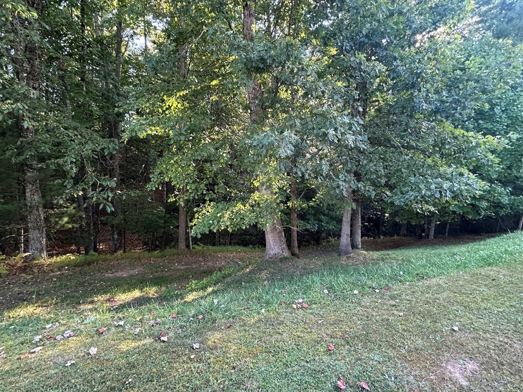 839 Grouse Ridge Road Max Meadows, VA 24360 - Photo 27 of 45 Gallery Image 27