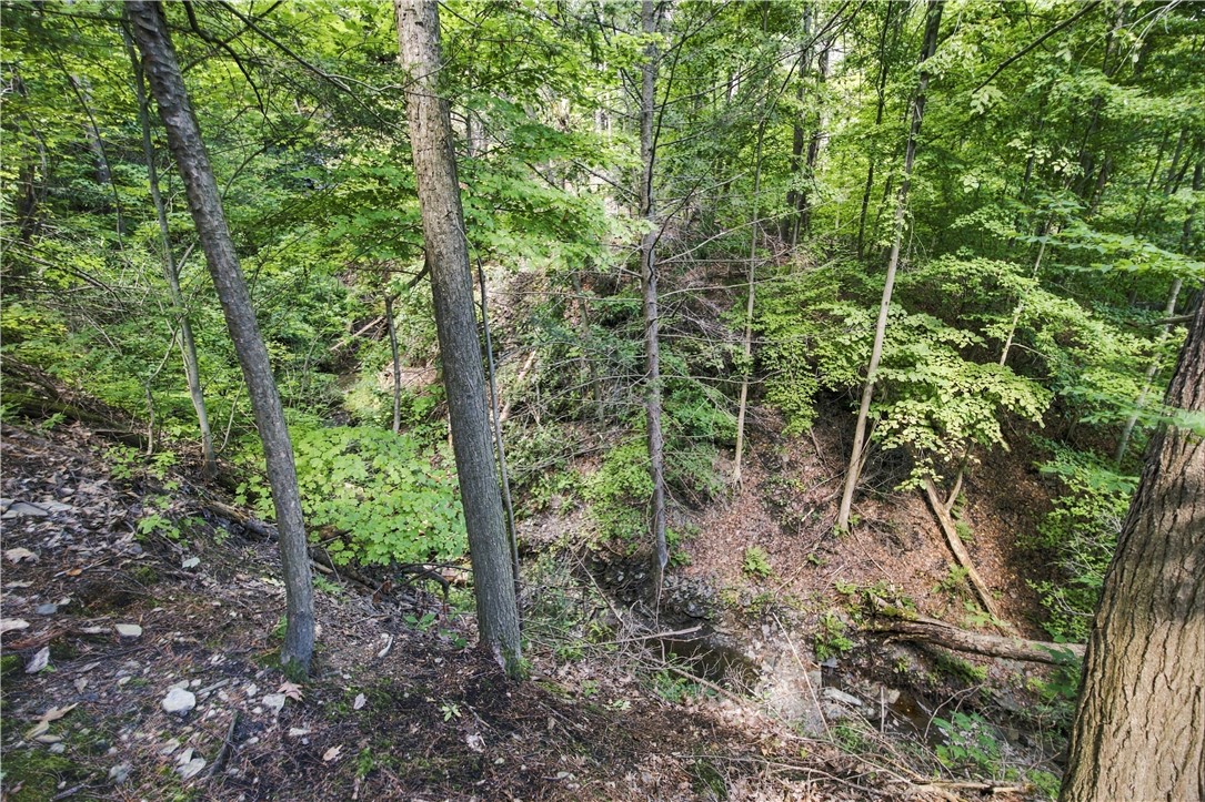 4384 Argetsinger Road Reading, NY 14878 - Photo 37 of 48 Gallery Image 37