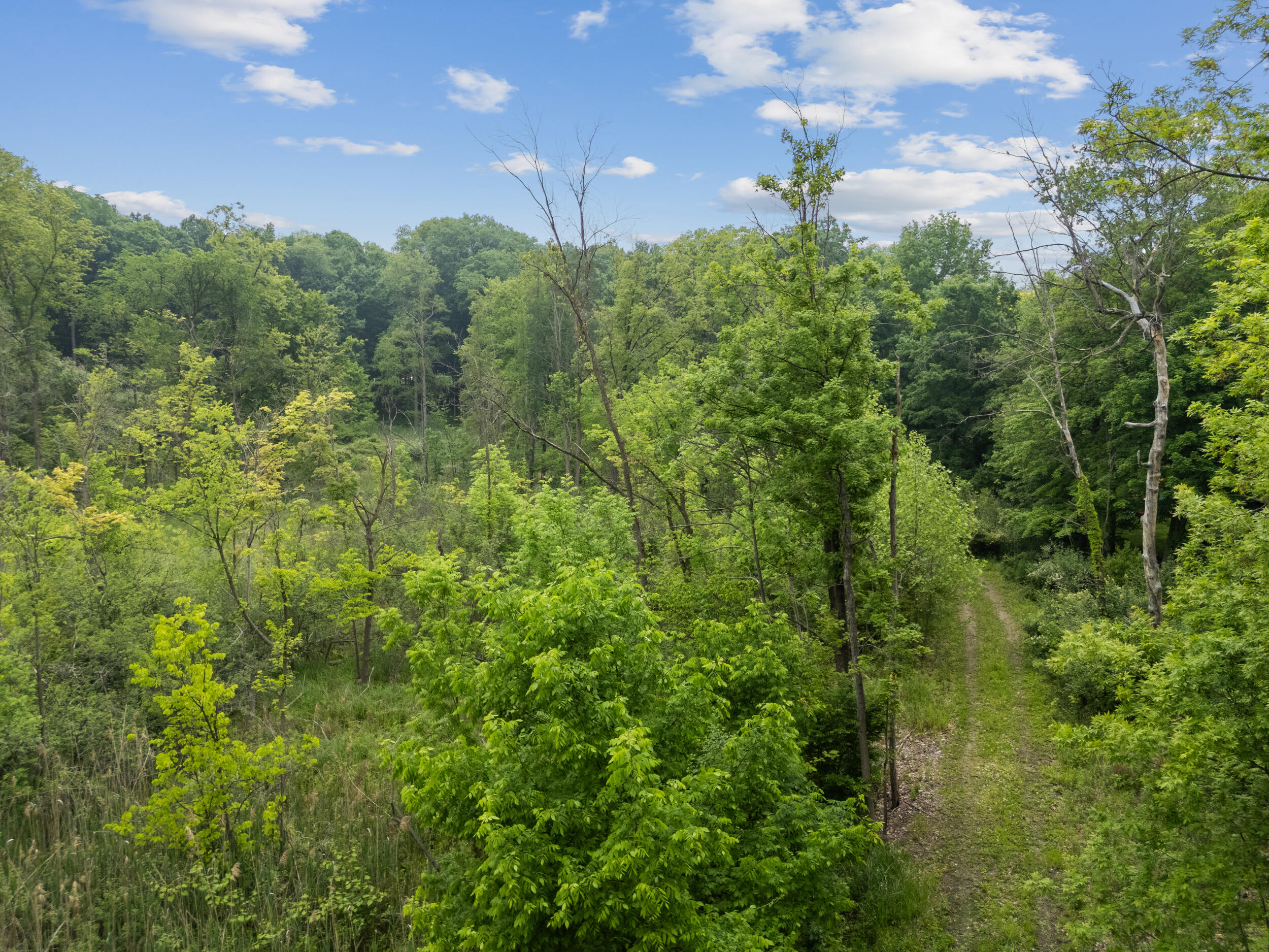 36300 Howard Road Farmington, MI 48331 - Photo 22 of 26 22_36300 howard rd_103