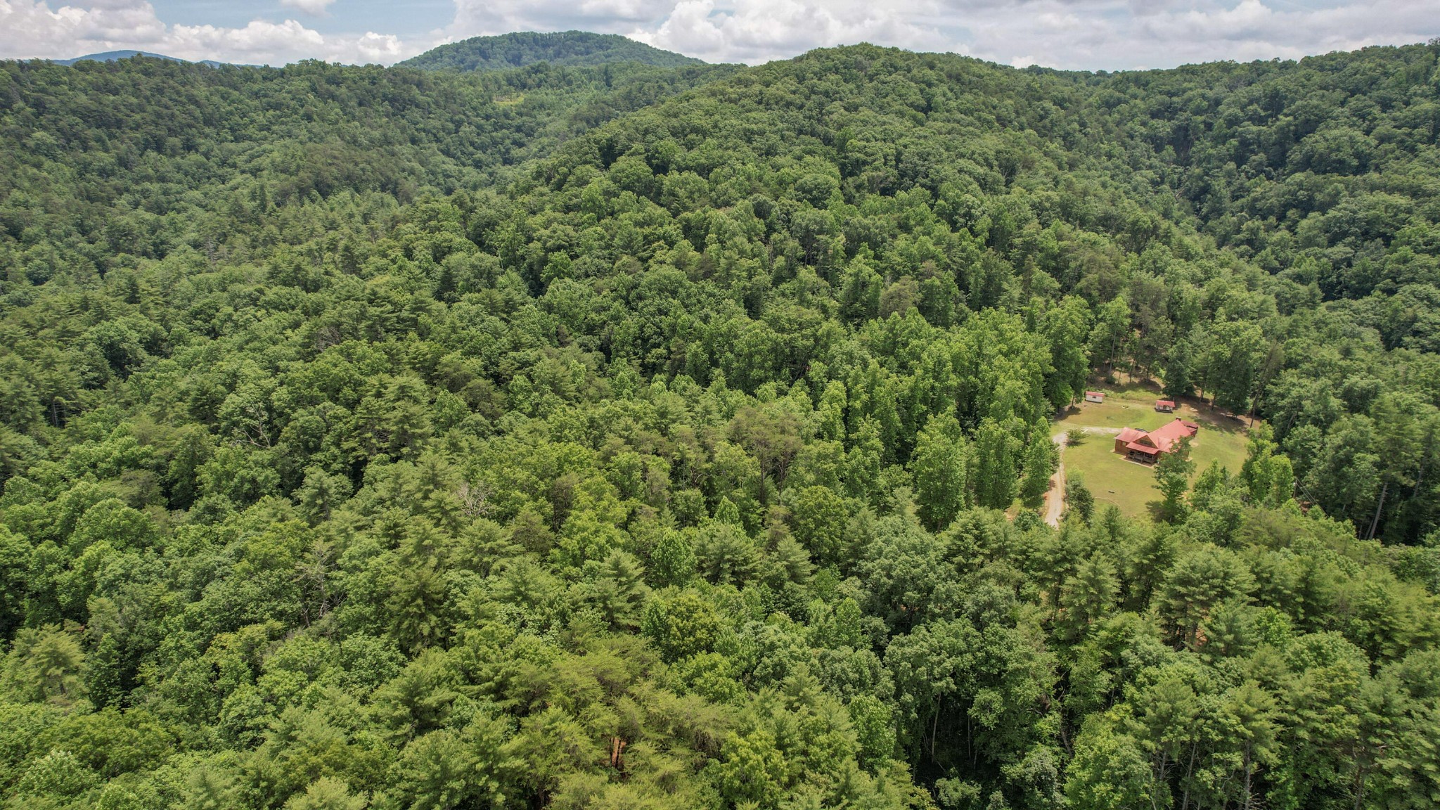 201 Campbell Branch Road Reliance, TN 37369 - Photo 76 of 99