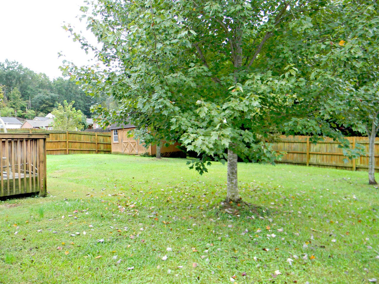 7025 Ghiradelli Road Knoxville, TN 37918 - Photo 7 of 30 Gallery Image 7