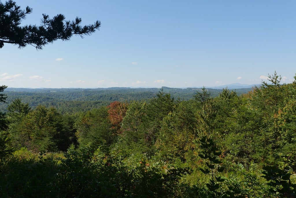 Tbd Hall Hollow Road, Unit 1 Austinville, VA 24312 - Photo 2 of 76 Gallery Image 2