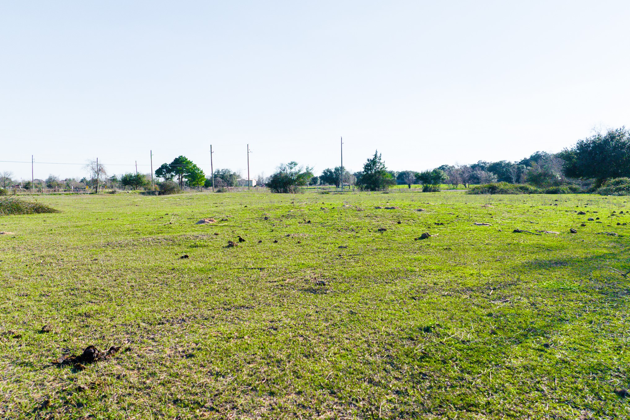 682 Schultz Road Sealy, TX 77474 - Photo 26 of 35