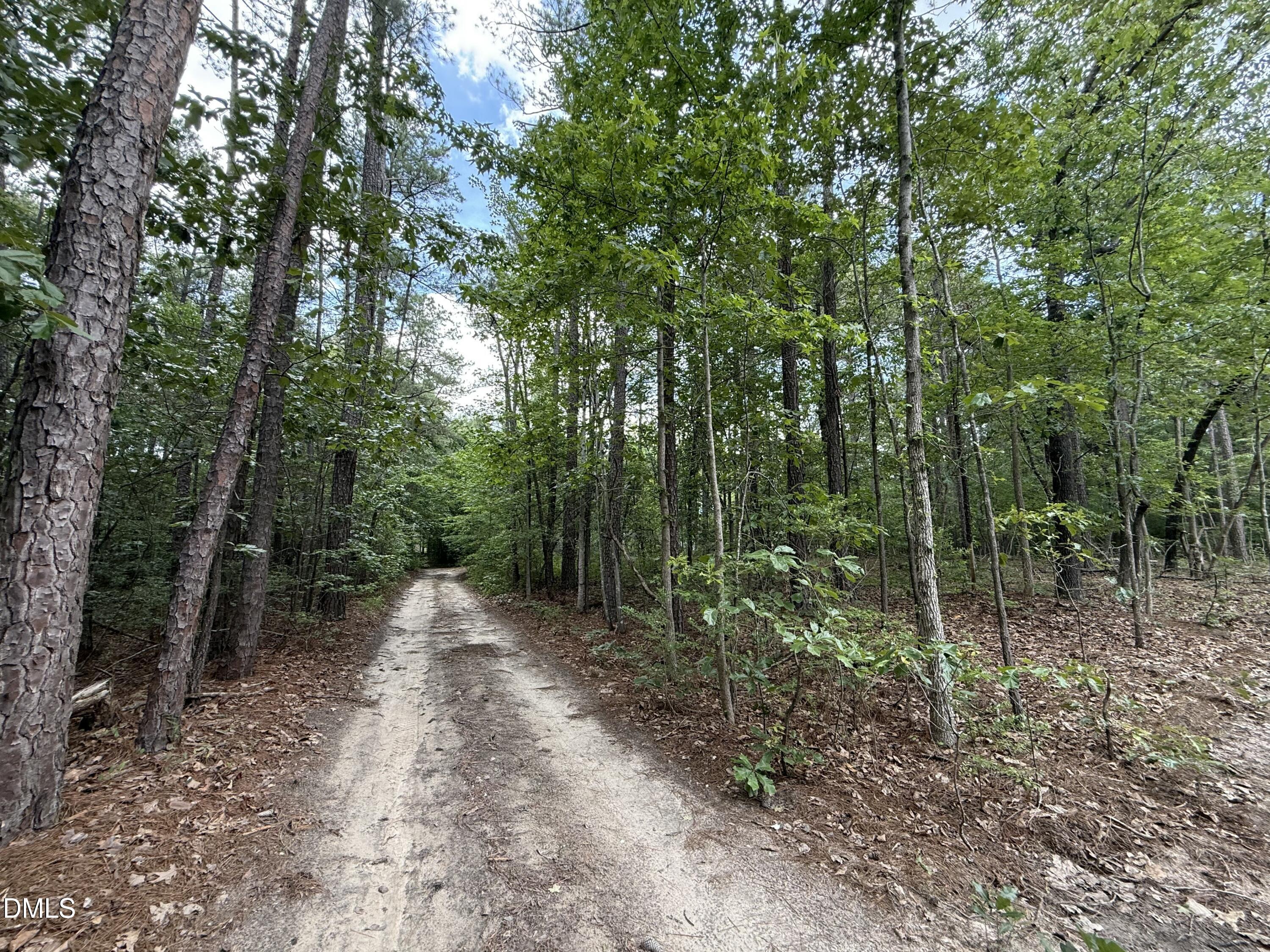 0 Elfman Drive Spring Lake, NC 28390 - Photo 28 of 40 a big yard with lots of green space and trees