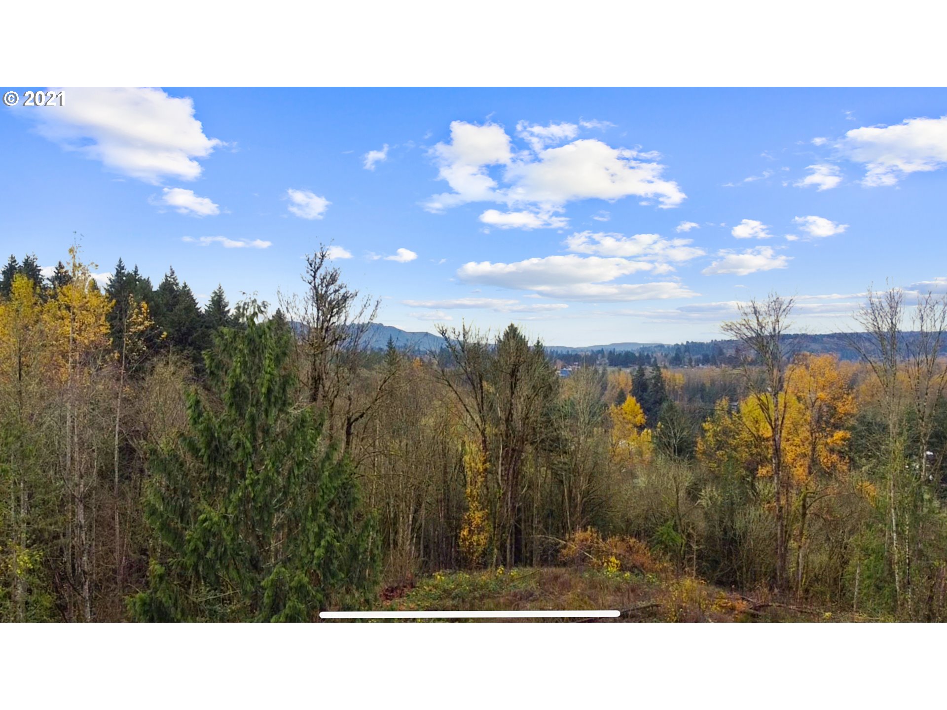 410 Studebaker Road Castle Rock, WA 98611 - Photo 8 of 17 Gallery Image 8