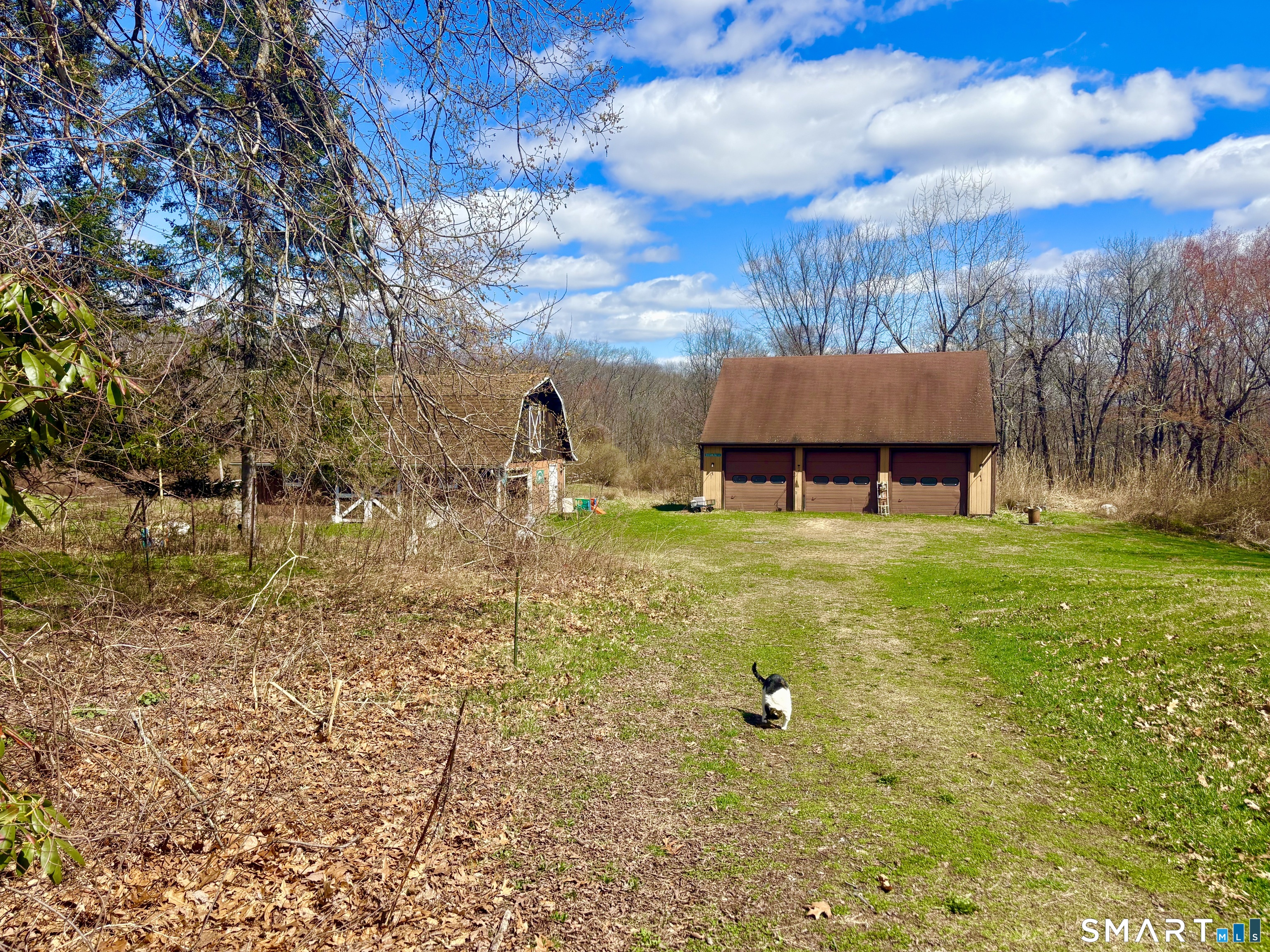 235 Bull Hill Road Colchester, CT 06415 - Photo 5 of 28