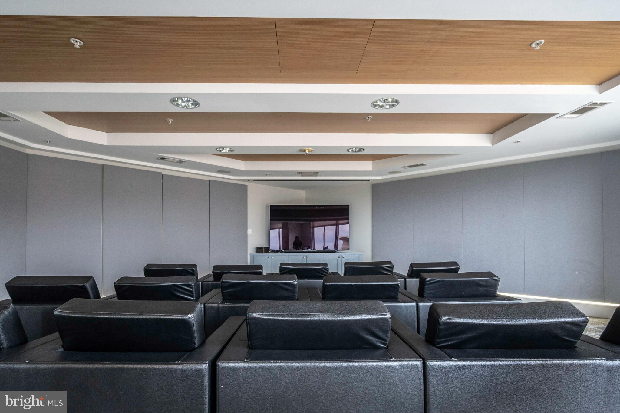 3650 South Glebe Road, Unit 450 Arlington, VA 22202 - Photo 39 of 60 a living room with furniture and a fireplace