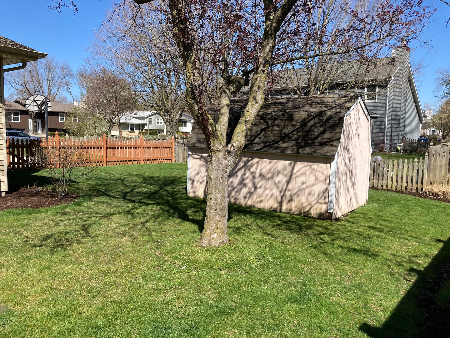 36 Redstart Road Naperville, IL 60565 - Photo 38 of 38 a view of backyard with tree