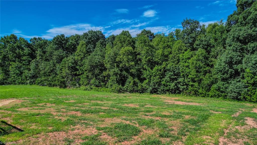 1816 Crutchfield Road Reidsville, NC 27320 - Photo 40 of 45