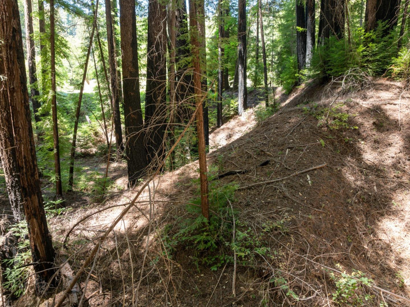 Lot 17 Branson Ranch Boulder Creek, CA 95006 - Photo 31 of 45 a backyard of a house with lots of green space