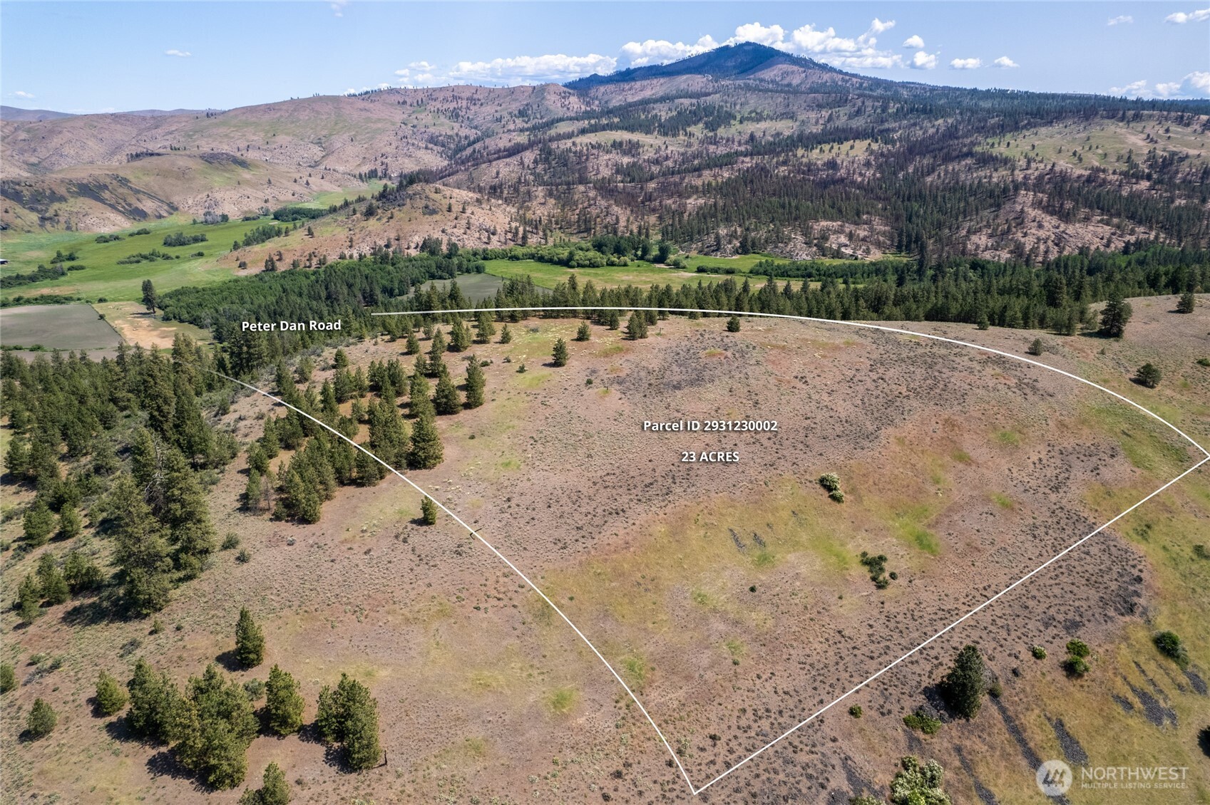 0 Peter Dan Road Coulee Dam, WA 99116 - Photo 2 of 8 a view of a city with a mountain
